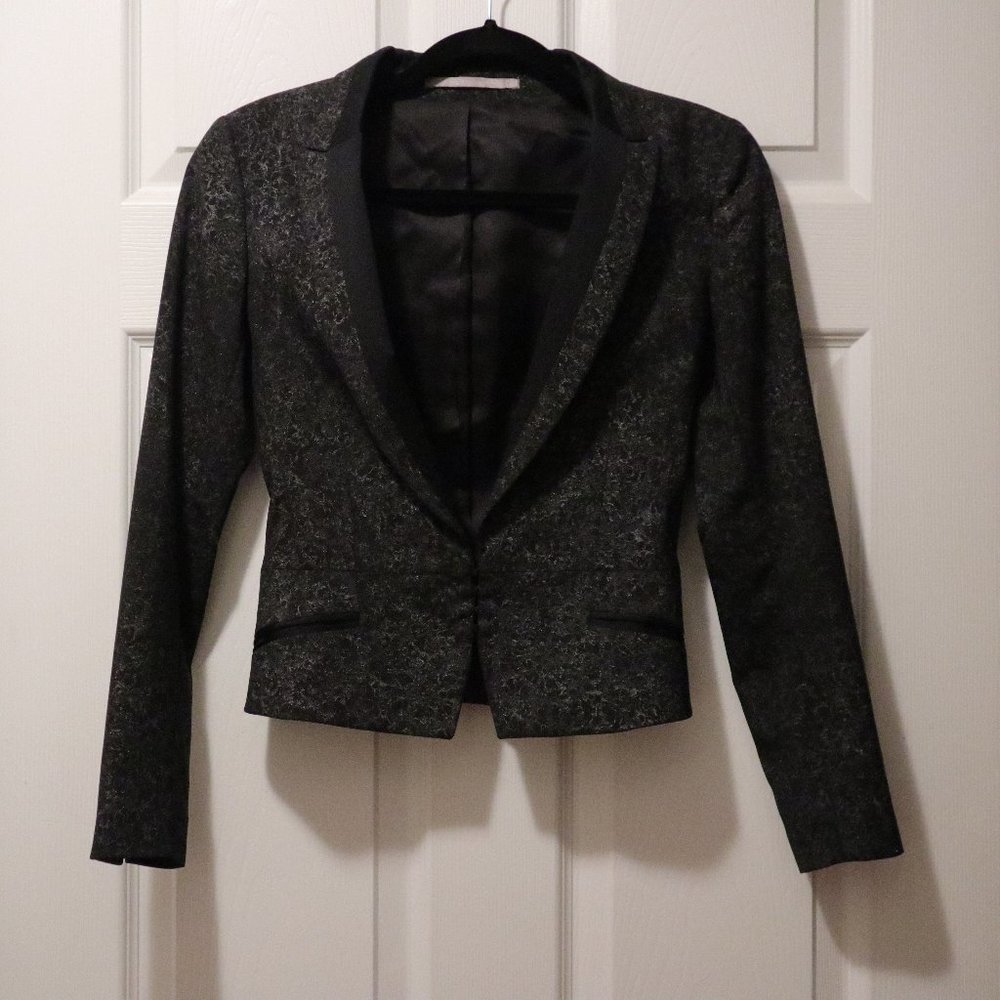 Tiger of Sweden Shimmery Blazer (Sz 32)